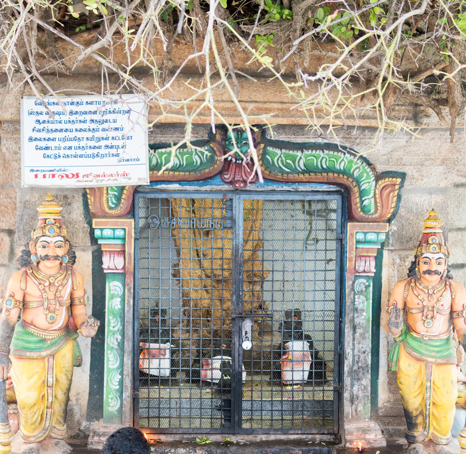 Pulathiyar Siddhar Temple Backside